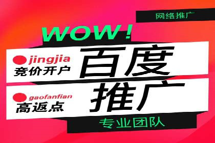 行业领先企业的sem代运营机构合作经验分享